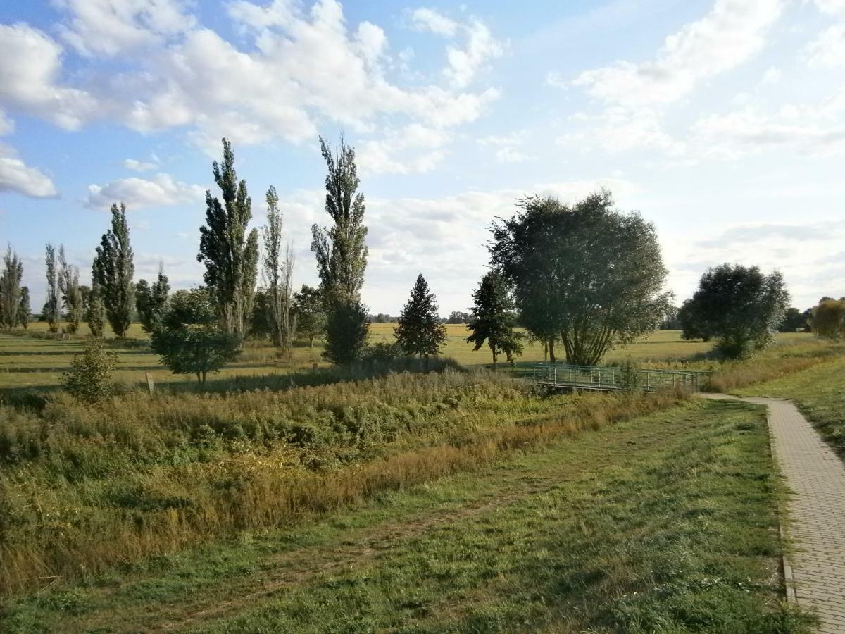 Apartamento Alles Paletti Mit Klimaanlage Wittenberg Exterior foto